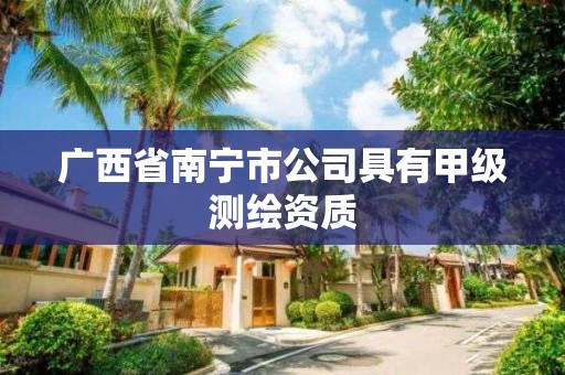 广西省南宁市公司具有甲级测绘资质
