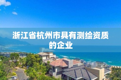 浙江省杭州市具有测绘资质的企业