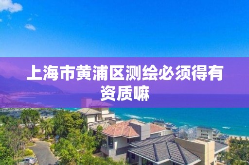 上海市黄浦区测绘必须得有资质嘛