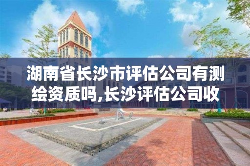 湖南省长沙市评估公司有测绘资质吗,长沙评估公司收费标准