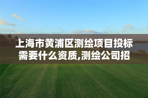 上海市黄浦区测绘项目投标需要什么资质,测绘公司招投标。