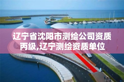 辽宁省沈阳市测绘公司资质丙级,辽宁测绘资质单位