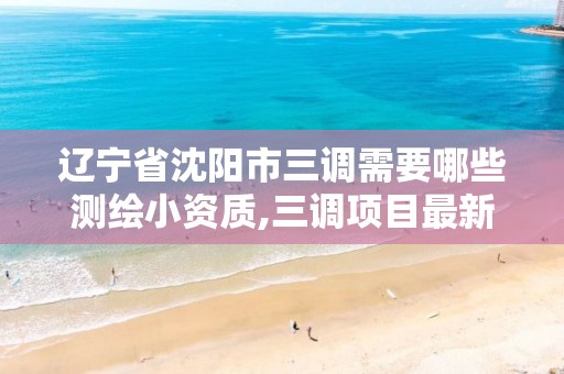 辽宁省沈阳市三调需要哪些测绘小资质,三调项目最新地类表。