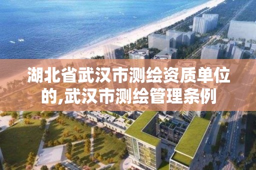 湖北省武汉市测绘资质单位的,武汉市测绘管理条例