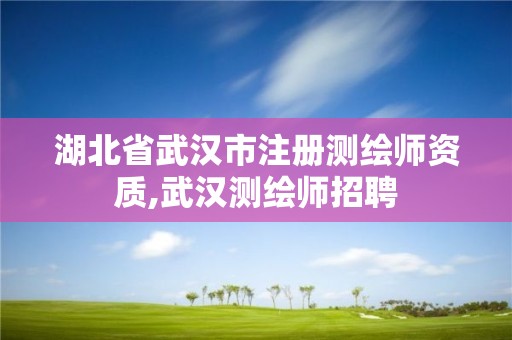 湖北省武汉市注册测绘师资质,武汉测绘师招聘