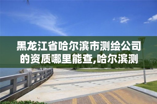 黑龙江省哈尔滨市测绘公司的资质哪里能查,哈尔滨测绘局工资怎么样。