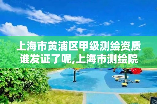 上海市黄浦区甲级测绘资质谁发证了呢,上海市测绘院级别。