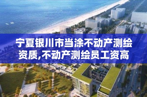 宁夏银川市当涂不动产测绘资质,不动产测绘员工资高不。