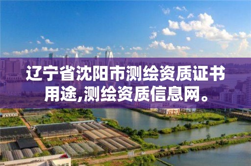 辽宁省沈阳市测绘资质证书用途,测绘资质信息网。