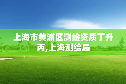 上海市黄浦区测绘资质丁升丙,上海测绘局 上海市黄浦区测绘资质丁升丙,上海测绘局