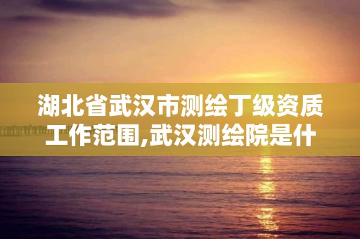 湖北省武汉市测绘丁级资质工作范围,武汉测绘院是什么级别。