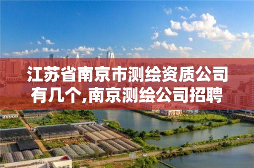 江苏省南京市测绘资质公司有几个,南京测绘公司招聘。 江苏省南京市测绘资质公司有几个,南京测绘公司招聘。