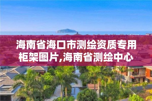 海南省海口市测绘资质专用柜架图片,海南省测绘中心