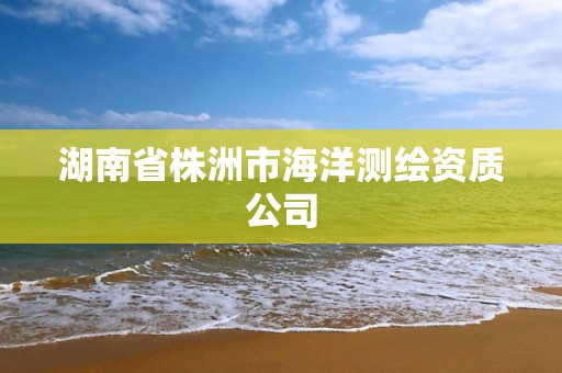 湖南省株洲市海洋测绘资质公司