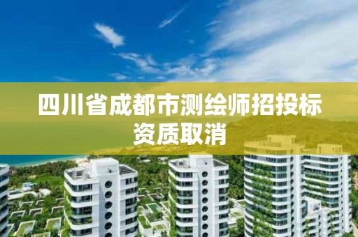 四川省成都市测绘师招投标资质取消