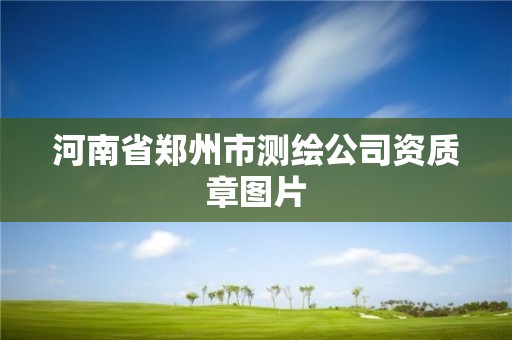 河南省郑州市测绘公司资质章图片