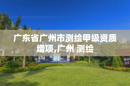 广东省广州市测绘甲级资质增项,广州 测绘