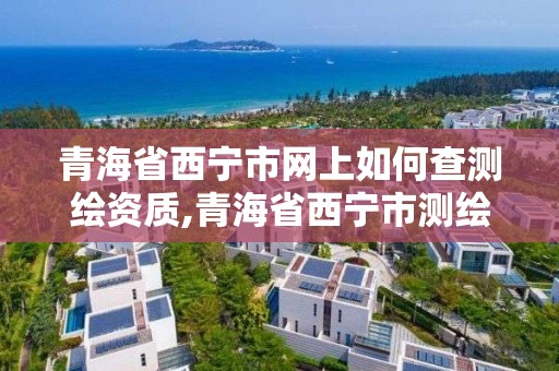 青海省西宁市网上如何查测绘资质,青海省西宁市测绘院