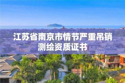 江苏省南京市情节严重吊销测绘资质证书