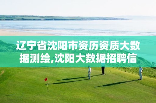 辽宁省沈阳市资历资质大数据测绘,沈阳大数据招聘信息