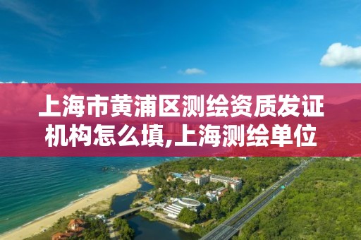 上海市黄浦区测绘资质发证机构怎么填,上海测绘单位