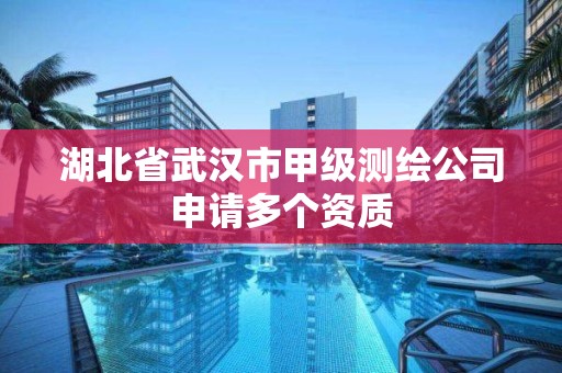湖北省武汉市甲级测绘公司申请多个资质