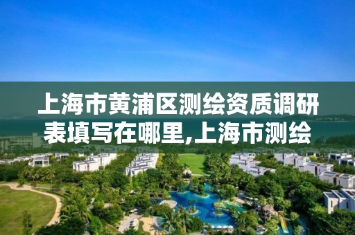 上海市黄浦区测绘资质调研表填写在哪里,上海市测绘产品质量。