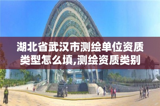 湖北省武汉市测绘单位资质类型怎么填,测绘资质类别是什么