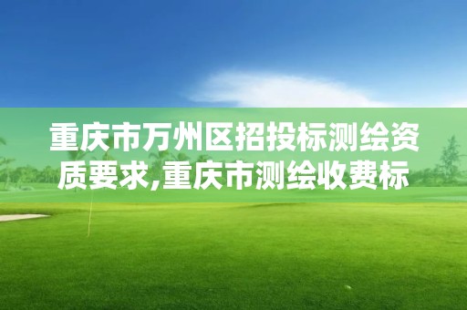 重庆市万州区招投标测绘资质要求,重庆市测绘收费标准
