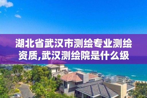 湖北省武汉市测绘专业测绘资质,武汉测绘院是什么级别