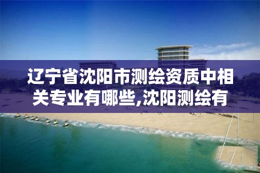 辽宁省沈阳市测绘资质中相关专业有哪些,沈阳测绘有限公司。