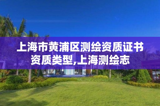 上海市黄浦区测绘资质证书资质类型,上海测绘志