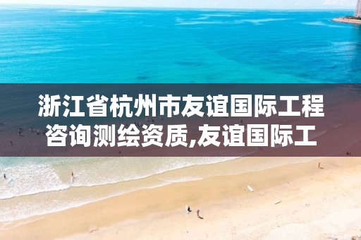 浙江省杭州市友谊国际工程咨询测绘资质,友谊国际工程咨询招聘