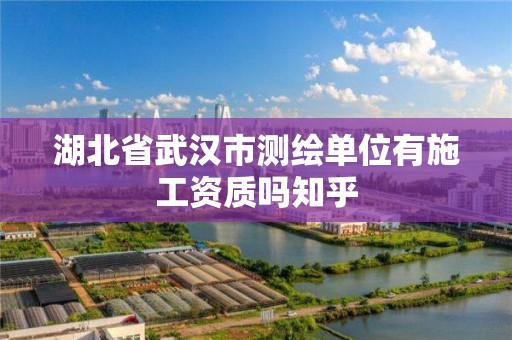 湖北省武汉市测绘单位有施工资质吗知乎