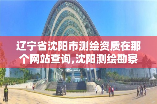 辽宁省沈阳市测绘资质在那个网站查询,沈阳测绘勘察研究院有限公司