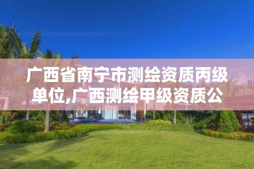 广西省南宁市测绘资质丙级单位,广西测绘甲级资质公司