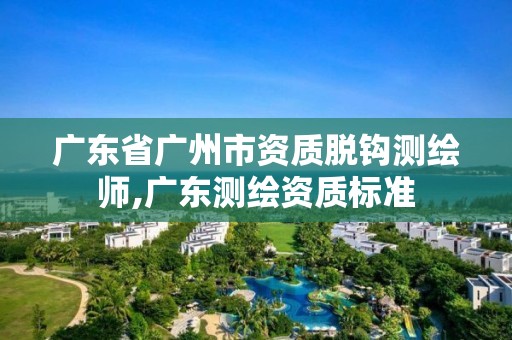 广东省广州市资质脱钩测绘师,广东测绘资质标准