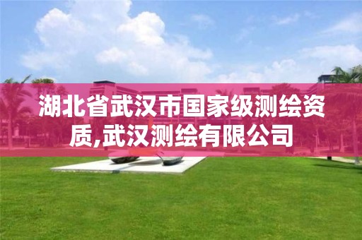 湖北省武汉市国家级测绘资质,武汉测绘有限公司