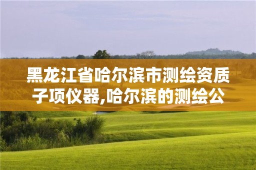 黑龙江省哈尔滨市测绘资质子项仪器,哈尔滨的测绘公司有哪些 黑龙江省哈尔滨市测绘资质子项仪器,哈尔滨的测绘公司有哪些
