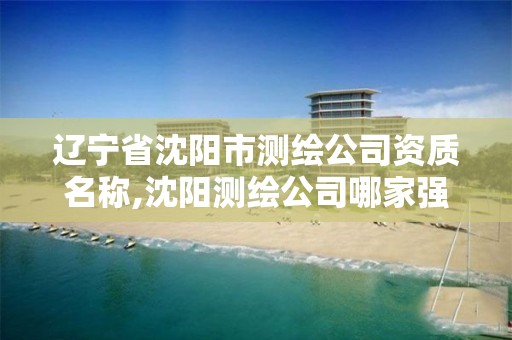 辽宁省沈阳市测绘公司资质名称,沈阳测绘公司哪家强哪家好