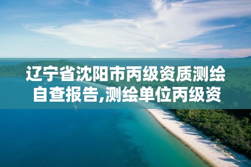 辽宁省沈阳市丙级资质测绘自查报告,测绘单位丙级资质。