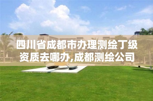 四川省成都市办理测绘丁级资质去哪办,成都测绘公司收费标准。