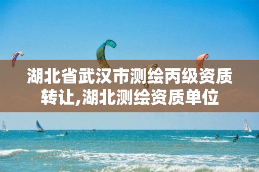 湖北省武汉市测绘丙级资质转让,湖北测绘资质单位