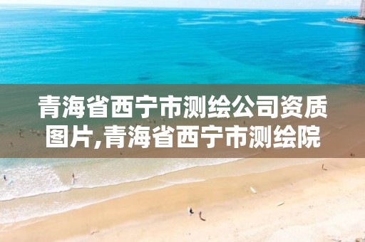 青海省西宁市测绘公司资质图片,青海省西宁市测绘院