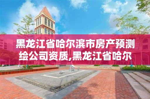 黑龙江省哈尔滨市房产预测绘公司资质,黑龙江省哈尔滨市测绘局