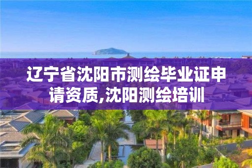 辽宁省沈阳市测绘毕业证申请资质,沈阳测绘培训