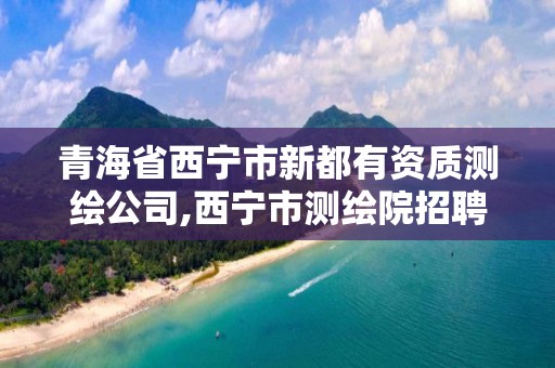 青海省西宁市新都有资质测绘公司,西宁市测绘院招聘公示