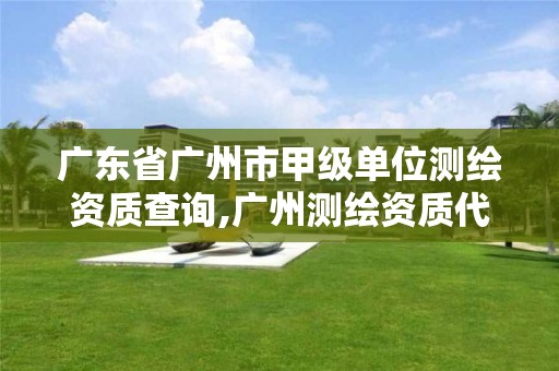 广东省广州市甲级单位测绘资质查询,广州测绘资质代办