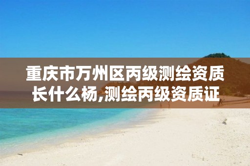 重庆市万州区丙级测绘资质长什么杨,测绘丙级资质证书。