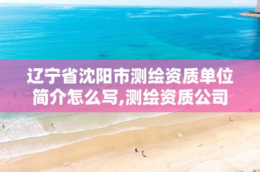 辽宁省沈阳市测绘资质单位简介怎么写,测绘资质公司